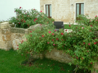 Provincia di Lecce, Puglia