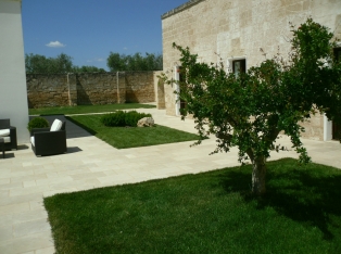 Produzione Piante nel Salento