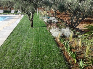 Produzione Piante nel Salento