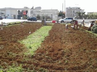 Produzione Piante nel Salento