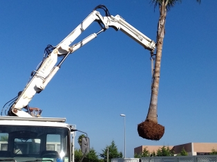 Produzione Piante nel Salento