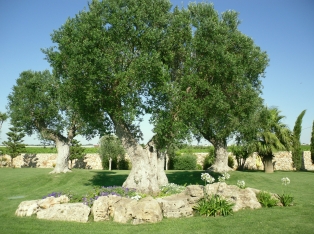 Provincia di Lecce, Puglia