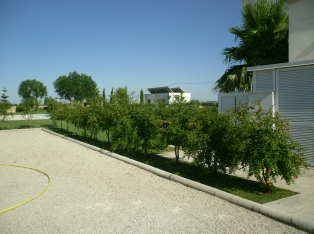 Produzione Piante nel Salento