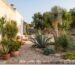 Progettazione giardino di piante succulente e grasse con agave, yucca ed euforbia nella corte di una masseria nel Salento - Vivai Mello Alessandro